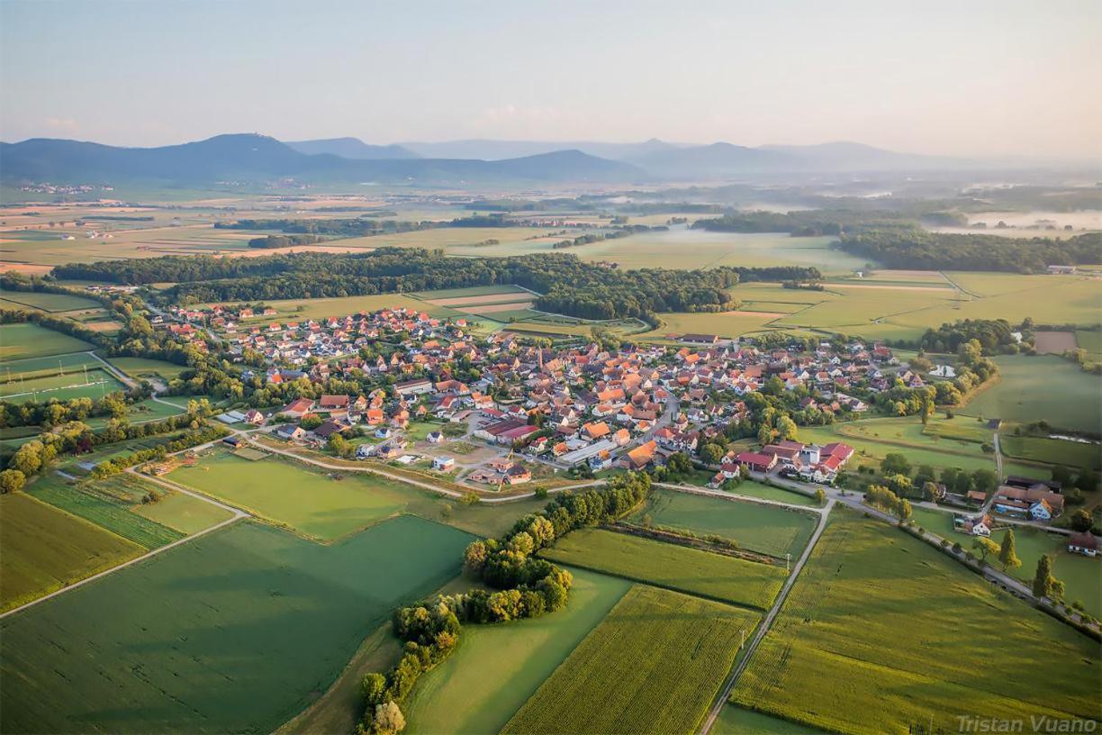 Apartament Le Cocon Du Bord De L'Ill Illhaeusern Zewnętrze zdjęcie